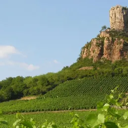 L'oenotouristique en Saône et Loire, la terre des grands vins