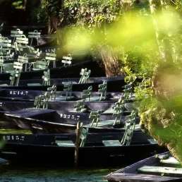 La Vélo Francette dans le Marais Poitevin