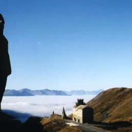 Une horde de St Bernard sur les cimes de Savoie