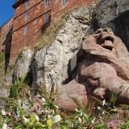 Belfort, la ville rugissante