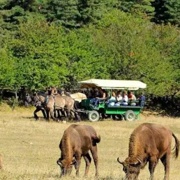 La Côte d’Azur, réserve naturelle d'une grande partie de la faune sauvage d'Europe