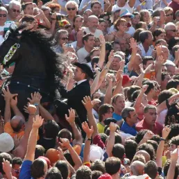 Minorque, l'ile du cheval