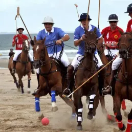 Planche(s) Contact à Deauville : redécouvrir la capitale équestre dans l'objectif