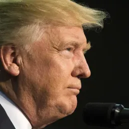 Les White Stripes VS Donald Trump