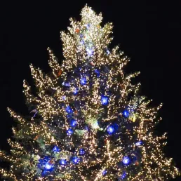 Le mot de la semaine : Noël