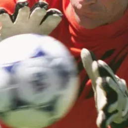 René Vignal, gardien volant et voleur en cage