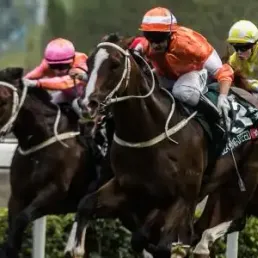 Les pronostics hippiques – 25/12/2015