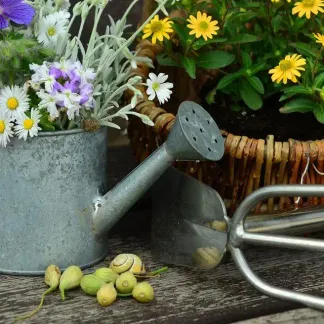 Jardinage plantes fleurs 1280