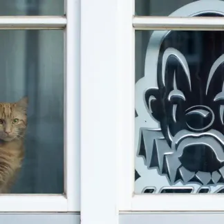 Le vrai-faux de l'info, Jean-Philippe Balasse 17.02.2016 1280x640