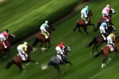 Colt des Essarts s'est imposé mercredi sur la piste de l'hippodrome de Lyon-La Soie. (Image d'illustration)