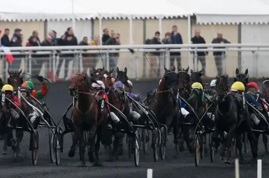 Le n°9 Azur Des Caillo s'est imposé vendredi sur la piste de l'hippodrome de Vincennes.