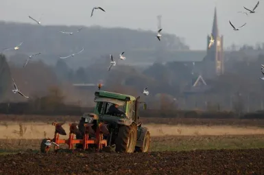 «Je mets la clé sous la porte au bout de 10 ans» : le témoignage d'un agriculteur qui met fin à son exploitation