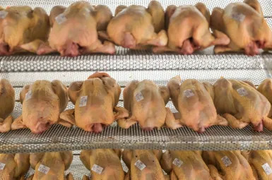 La grippe aviaire menace-t-elle les fêtes de fin d'année ?