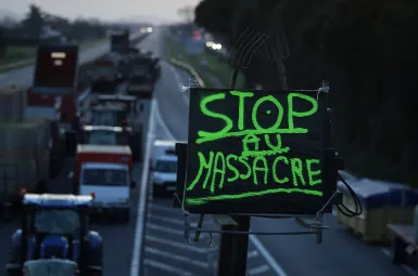 Dermatose nodulaire :  «On ne fait pas une politique sanitaire à grand coup de LBD», dénonce le porte-parole de la Confédération paysanne