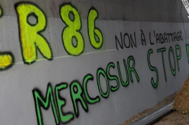 Mercosur : ce que les agriculteurs français pourraient perdre en cas de signature du traité de libre échange