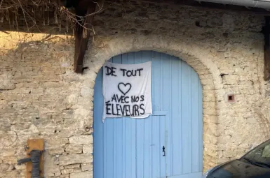 Le village d'Ecleux arrive à vaincre la dermatose bovine : «Il n'y a rien de magique», explique son maire
