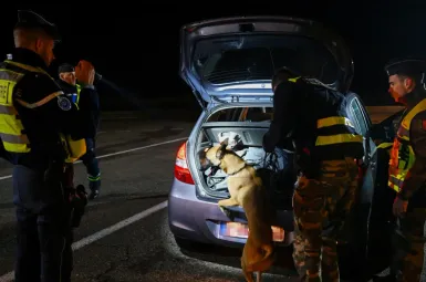 Cocaïne, cannabis...dans les Landes, gendarmes et douaniers saisissent d'importantes quantités de drogues