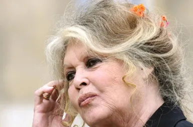«Je suis tellement écœurée» : quand Brigitte Bardot lançait un appel au gouvernement pour sauver deux marcassins recueillis