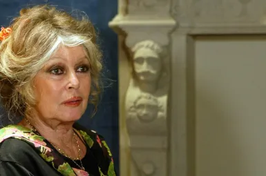 Éric Ciotti, président de l'UDR, interpelle Emmanuel Macron et lance une pétition pour réclamer un hommage national à Brigitte Bardot.