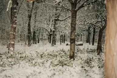 EN DIRECT - Neige et verglas : trois morts dans deux accidents de la route dans les Landes