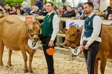 La dermatose nodulaire contagieuse (DNC) est arrivée pour la première fois en France en juin dernier.