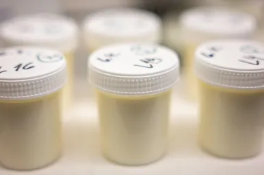 Qu'est-ce que la ricine, cette substance contre laquelle la France vient de trouver un remède ?