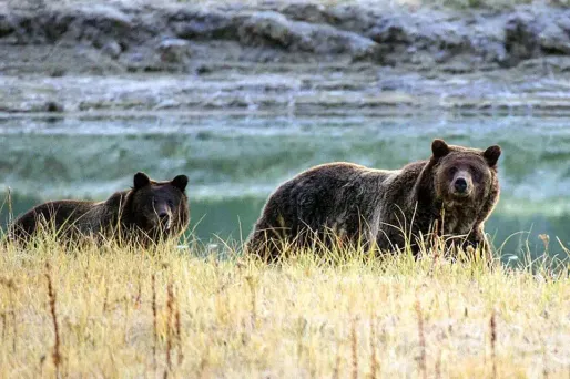 De Yosemite à Yellowstone, les parcs nationaux américains fermeront en cas de «shutdown»