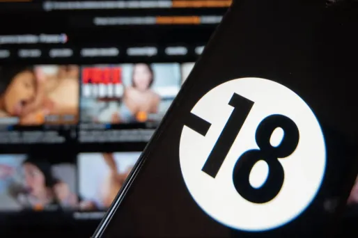 90% des scènes comportent un acte de violence physique ou verbale.