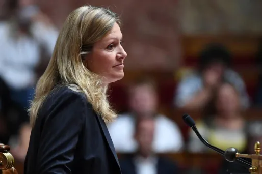 Loi immigration : la Commission mixte paritaire réunie «probablement lundi ou mardi»