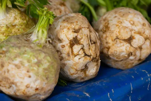 Céleri rave de Carrières sur Seine rôti, condiment oseille, coques cuites au naturel du chef Omar Dhiab