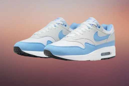 Offre à ne pas manquer sur les Nike Air Max 1