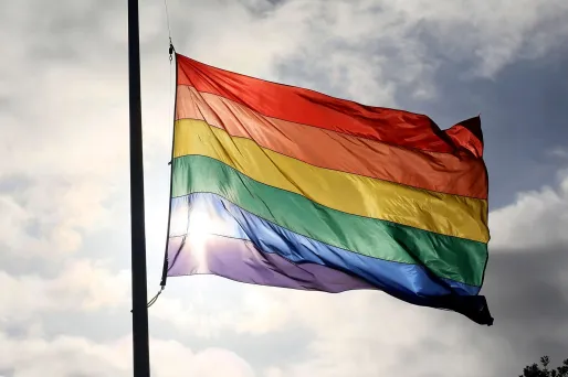 Condamnations pour homosexualité : le vote des députés en faveur d'une réhabilitation, «un signal fort»