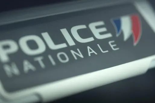 Prison avec sursis et amende solidaire de 200.000 euros pour deux «pilleurs» du trésor de Lava