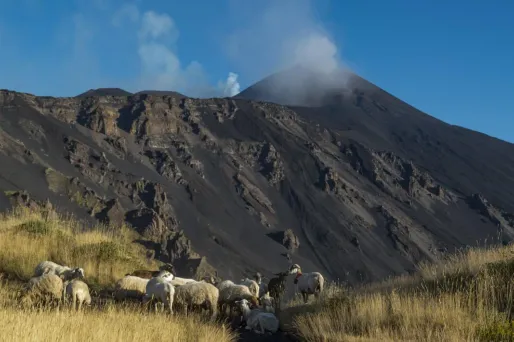 Coulée de lave de l'Etna : l'aéroport de Catane en Sicile limite les arrivées