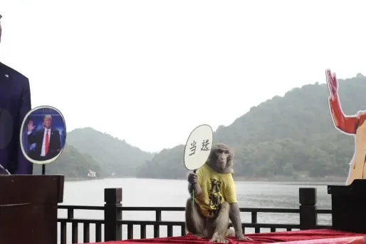 singe, chine, geda crédit ; STR / AFP - 1280