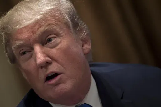 La journaliste avait écrit lundi que Donald Tryump était "un suprémaciste blanc qui s'est largement entouré d'autres suprémacistes blancs".