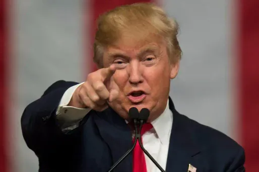 Donald Trump a recueilli moins de suffrages que sa rivale démocrate, mais plus de grands électeurs.