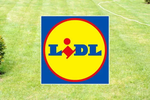 Le coupe-bordures électrique Parkside en promotion chez Lidl