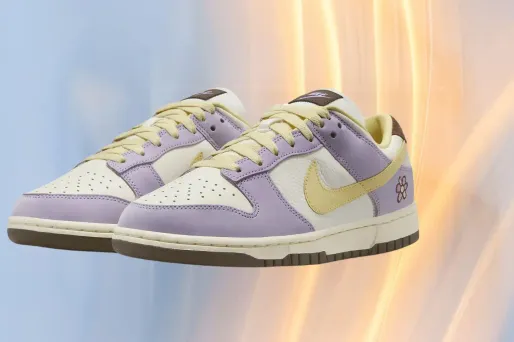Les baskets Nike Dunk Low Premium en promo