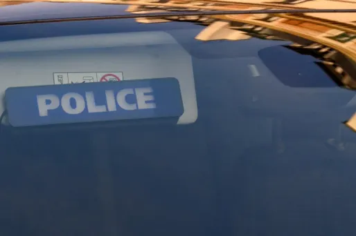 Enquête après la mort de trois chiens lors du championnat de France de Canicross