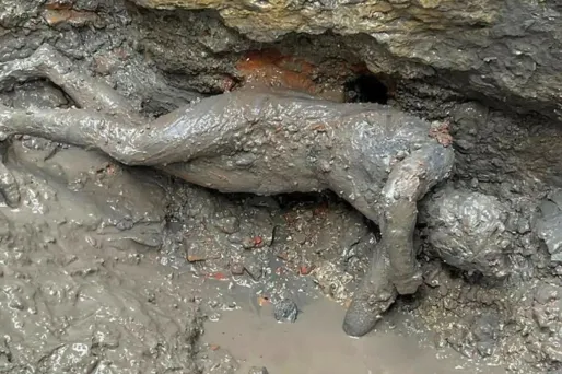 Des statues dans un parfait état de conservation ont été découverte sur d'anciennes sources chaudes en Toscane.