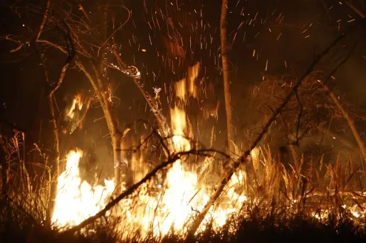 Un incendie dans les Pyrénées-Orientales a parcouru 110 hectares de végétation (Illustration).