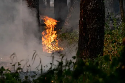Incendie Maine-et-Loire