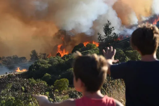 Un feu a démarré dans la forêt de Pugle dans le Maine-et-Loire, et brûlé environ 600 hectares (Illustration).