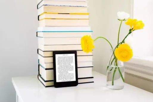 Chute de prix sur la liseuse Kobo Nia