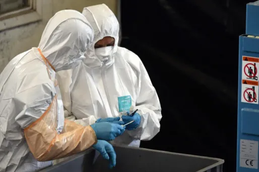 Le Vietnam annonce avoir mis au point un vaccin à administrer aux porcs pour lutter contre la peste porcine africaine (Illustration).