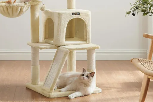 arbre à chat Feandrea