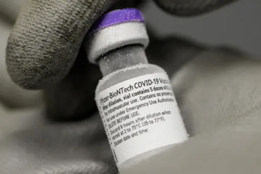 Environ 15 millions de Français doivent être vaccinés d'ici juin.