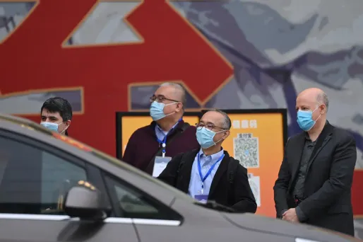 Les experts de l'OMS