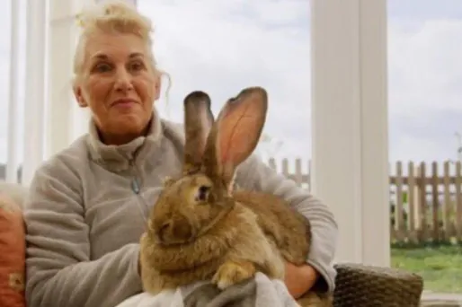 Annette Edwards et Darius plus grand lapin du monde